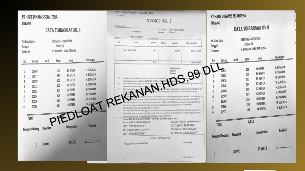 6b624d1caac748b99ed206caeeca953474mriejyzkbcwidj 51