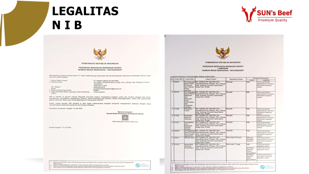 6b624d1caac748b99ed206caeeca953474mriejyzkbcwidj 61